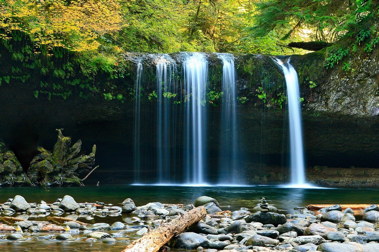 Waterfall Rocks Trees Forest Woods  - Free-Photos / Pixabay