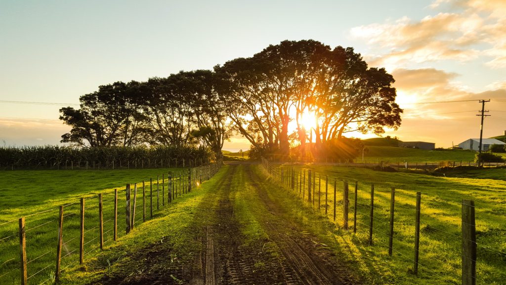 road in between brown wooden fences