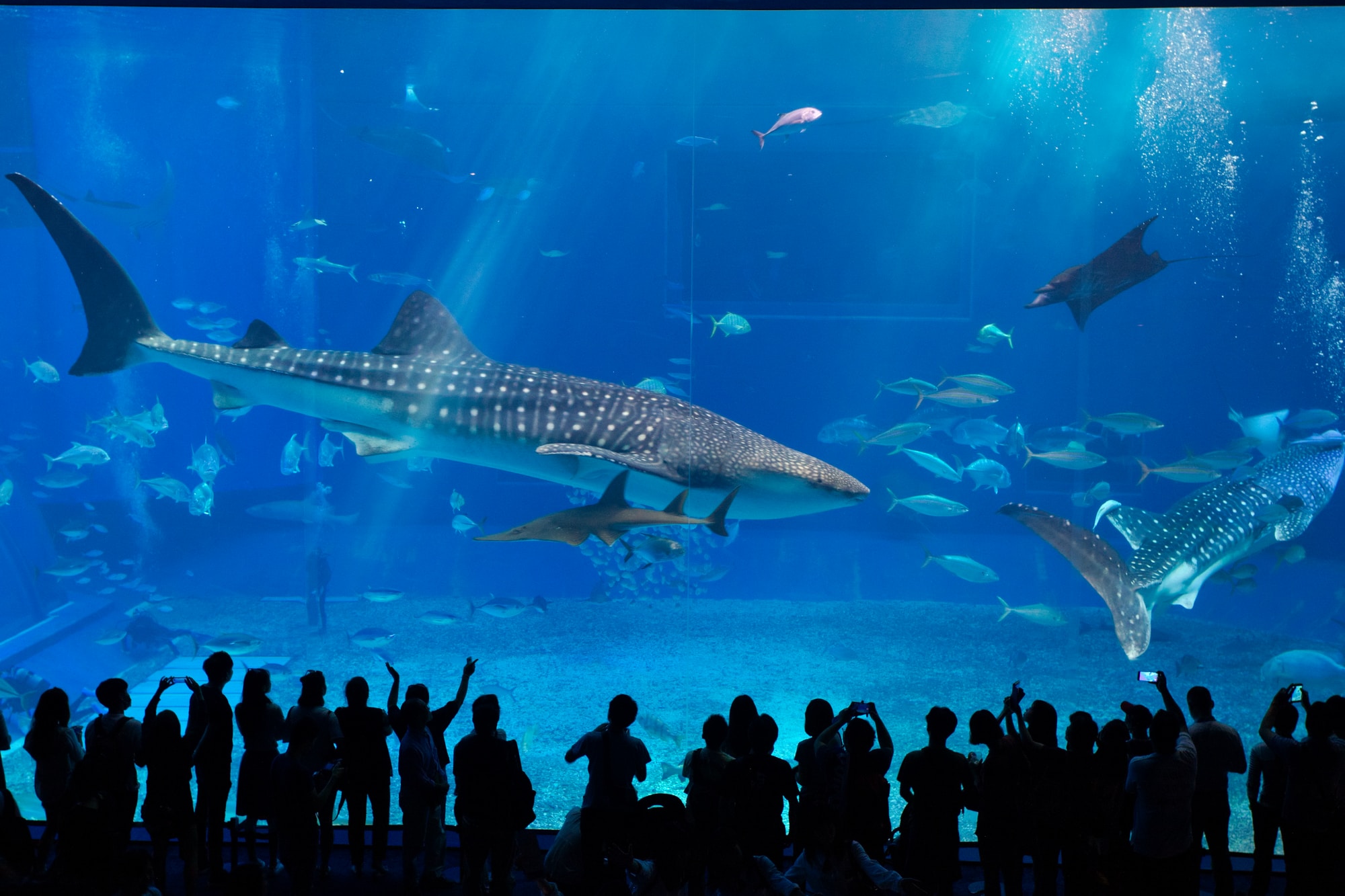 group of people in front of fish tank