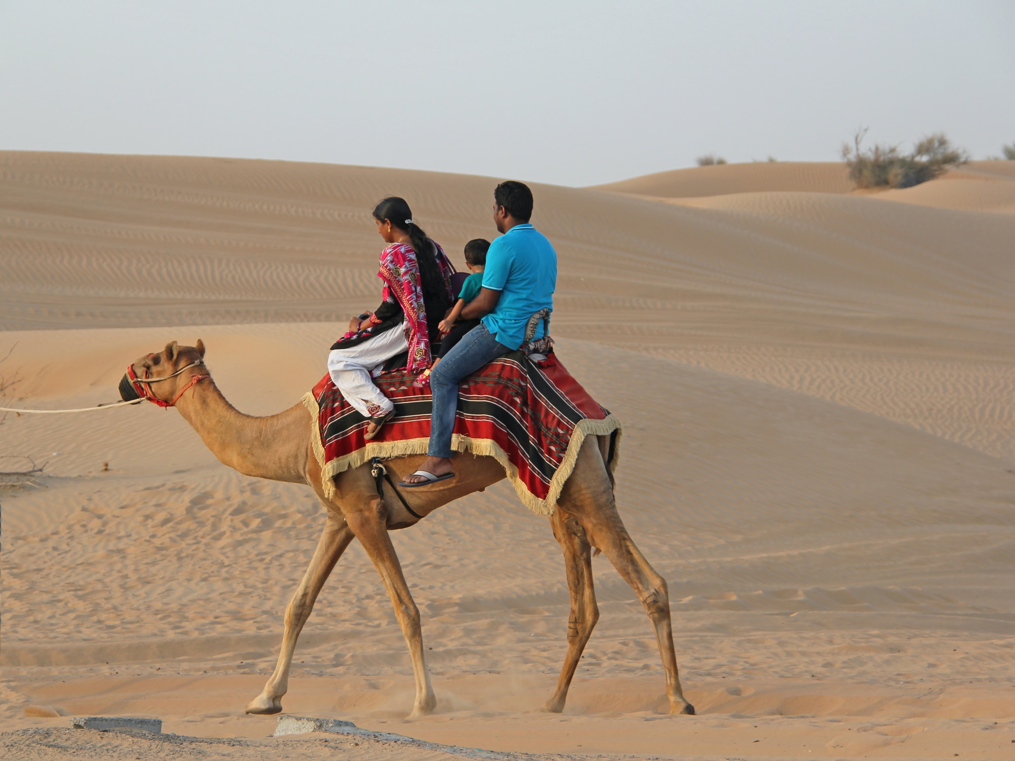 man and woman riding camel near desert