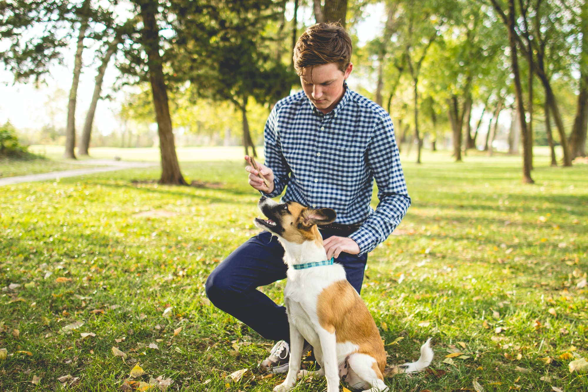 men's white and blue gingham dress shirt